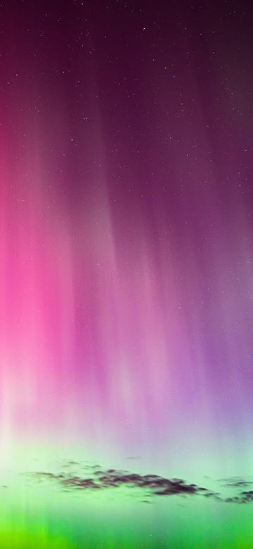 The Whole Sky Went Magenta as a phone wallpaper