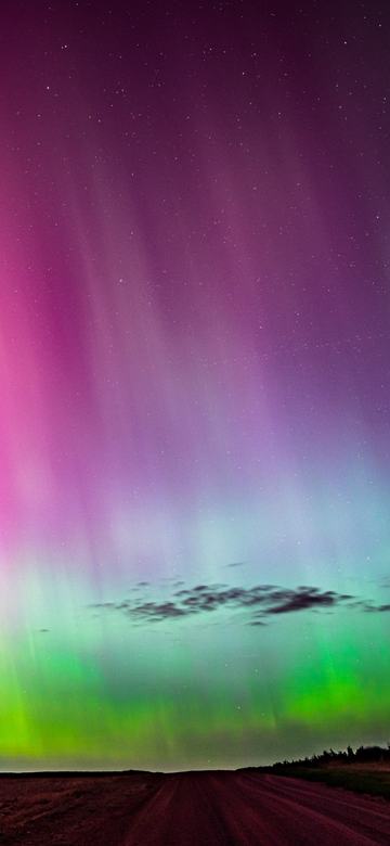 Pillars of Pink as a phone wallpaper